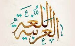 تقنية روسية لاصطياد الطائرات المسيرة