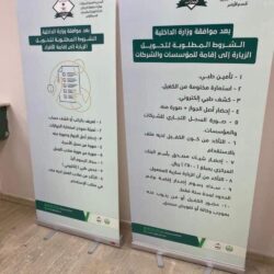 تطوير طائرة بدون طيار «حارس الأجواء»