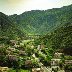 الهيئة السعودية للمحامين تصدر أول رخصة لعيادة قانونية الهيئة السعودية للمحامين تصدر أول رخصة لعيادة قانونية