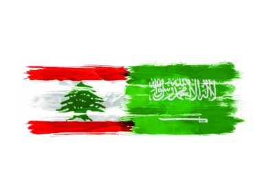 مجلس التنفيذيين اللبنانيين يرد على أمين عام حزب إيران في لبنان  عودوا إلى لبنانيتكم وكفوا عنا شركم