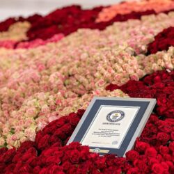 اجتماع بين نائب وزير الدفاع السعودي ووزير الدفاع الامريكي لجنة التخطيط الإستراتيجي المشترك بين البلدين اجتماع بين نائب وزير الدفاع السعودي ووزير الدفاع الامريكي لجنة التخطيط الإستراتيجي المشترك بين البلدين