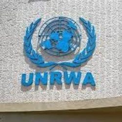 خارجية فلسطين”: نفاد وقود المستشفيات في غزة ينذر بكارثة حقيقية خارجية فلسطين”: نفاد وقود المستشفيات في غزة ينذر بكارثة حقيقية