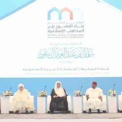 الأرز البقري» المزروع في المعمل باعتباره بروتين المستقبل الأرز البقري» المزروع في المعمل باعتباره بروتين المستقبل