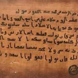 ألواح شمسية في مقل العيون .. خيال أصبح حقيقة ألواح شمسية في مقل العيون .. خيال أصبح حقيقة