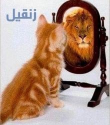المعارضة تحول شوارع طهران لبحر أسود