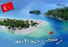 خبرة طبية بريطانية لتحضير منتخب الجزائر قبيل النزال الزامبي
