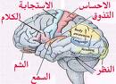 صناعة  عدسة لاصقة تمكّن الإنسان من فحص دمه