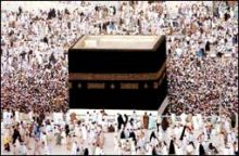 باحثون يطلقون يرقات من بيض الارتينا لتغذية الأسماك بعدن