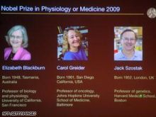 شركة طيران تطالب الركاب بالتبول قبل السفر لتخفيف الوزن وتوفير الوقود!