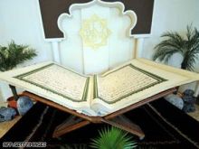 ناشئو الجزائر والإمارات يدشنون اليوم مشوارهم المونديالي