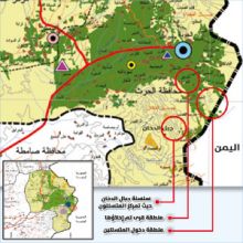 عصفور يعطل أكبر مشروع علمي في تاريخ البشر