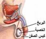 الإفراط في المضادات الحيوية يهدد الطب الحديث