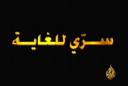 عطل يجبر  طائرة "عمرو موسى" تهبط اضطراريا ويلغي ارتباطات للسلام