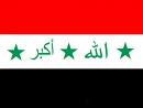 ربع طيور العالم من البط أبيض الرأس في سبخة الجبول بحلب