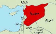 ملابس داخلية جديدة للرجال .. من الموز