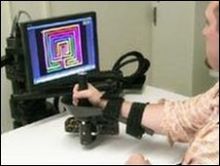 عرس عبر الانترنت بسبب السحاب البركاني في دبي بدلا من لندن