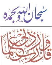 حظر الطيران يعوق عمليات زرع الأعضاء في أوروبا