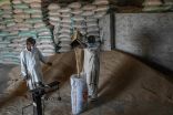 أرز البسمتي محور خلاف جديد بين الهند وباكستان