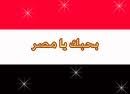 عقار مصري جديد لعلاج السرطان من الأسماك السامة