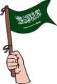 رغما عن المتطرفين :  2000علم ترفرف في ساحات وميادين  العاصمة السعودية  احتفالاً باليوم الوطني