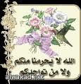 الهواتف لقراءة البريد الإلكتروني