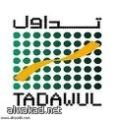مدخرات المتقاعدين في السعودية تنقذ سوق الأسهم من الانهيار ؟ لكن لمن الإرباح  ولما صمتت سوق المال !
