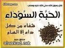 باحثة روسية في جامعة عدن : حبة البركة علاج لصحة النفس وغنية بالمركبات المقاومة للأمراض