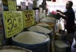 الفلبين تلغي مناقصة لشراء الأرز وتوقعات بانخفاض الأسعار