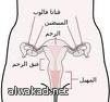 دواء جديد واعد لعلاج سرطان المبيض
