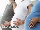 التغذية الصحية فترة الحمل تقلل تشوهات الجنين