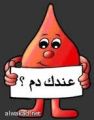 زرع خلايا خنازير بنكرياسية في القردة لعلاج السكري