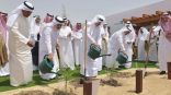 مشروع سعودي لزراعة مليون شجرة في عدد من المناطق