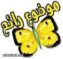 ولادة أول قمر صناعي عربي من قبل علماء مصريين ولا اجانب في مسار تصميم واطلاقه