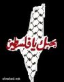 البنك الدولي يزيد مساعداته المالية للسلطة الفلسطينية وتدعو لتحرك عربي مماثل