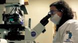 ريم خوجة : سعودية تقود في أميركا بحثاً لتطوير محركات مجهرية بحجم الخلايا البشرية