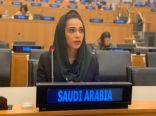 ندين العوفي: المملكة قدمت أكثر من 100 مليار دولار للدول النامية خلال العقود الثلاثة الماضية