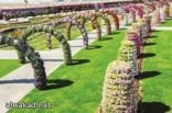 حديقة المعجزات بدبي 45 مليون زهرة