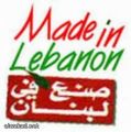هل بات لبنان بلدا نفطيا بعد اكتشاف 30 تريليون قدم مكعبة من الغاز المياه اللبنانية