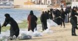 السعودية تستزرع 30 ألف طن من «الطحالب البحرية» يوظف سعوديات