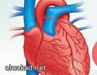 استخدام الروبوت في إجراء عمليات قسطرة القلب