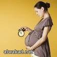 جهاز جديد يجعل الأمهات على صلة بالجنين ترتديه المرأة الحامل