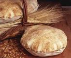 مخترعة سورية تدعو للعودة إلى الغذاء العضوي والطبيعي
