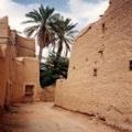 تخصيص أراض للسكن الميسر في محافظات  شرق السعودية