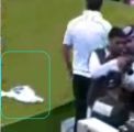 إبعاد إداريين وامن ملعب الملك فهد الدولي لسماحهم دهس صورة سلطان بن عبد العزيز