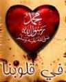 1500 دولار لمن يولد الشيشان في يوم المولد النبوي