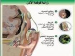 طبيب سوري يحصل على المركز الأول في زراعة الحلزون في الاذن