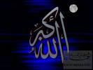فرس بحر بحجم البازلاء ضمن أبرز عشرة أنواع مكتشفة