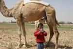 تناول حليب أكثر تعش أطول