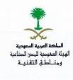 لتحديد الصناعات الإستراتيجية الممكنة مدينة "العلوم والتقنية" تدرس المزايا النسبية لمناطق السعودية