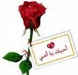 أم صينية تمشي ألفي كيلو متر لإبعاد الشحوم عن كبدها للتبرع به  لإنقاذ حياة ابنها
